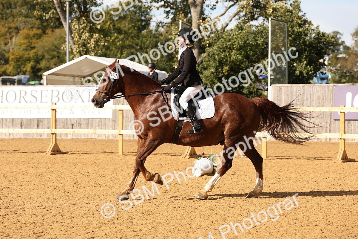 SBM_10603 - D9 - Small Tour Championship Prelim 3