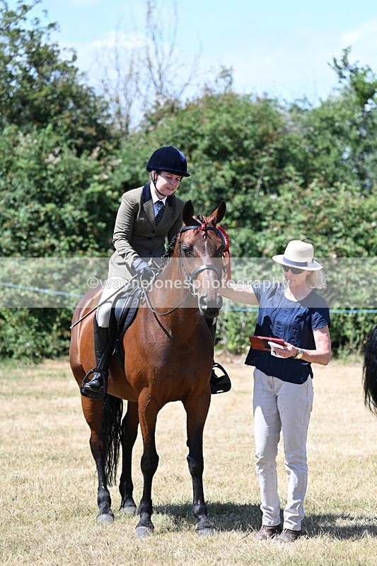 WJ7_3160 - Class 7 Riding Club Show Horse
