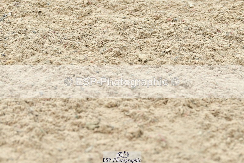 230721A-143255-06963 - Cls 22, 1 Star Gold 1.30m