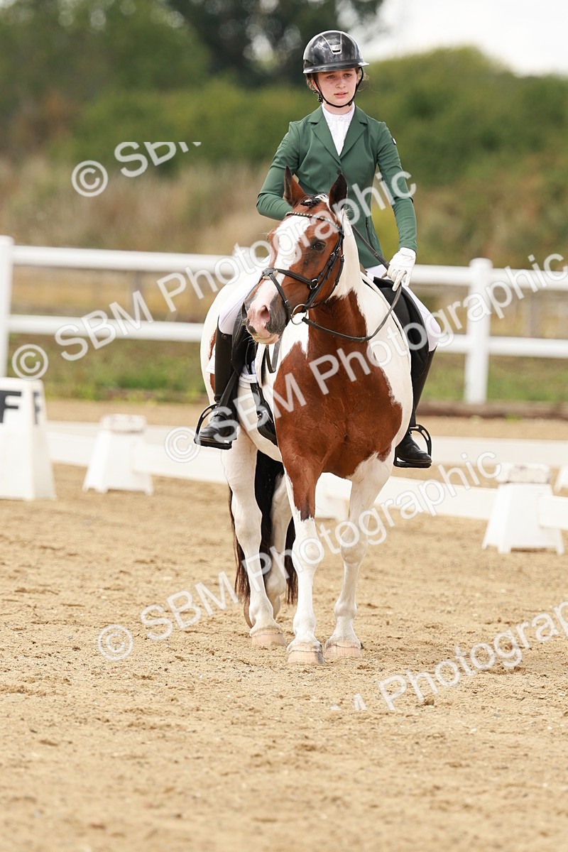 SBM_001994 - Class 8 - Elementary 6