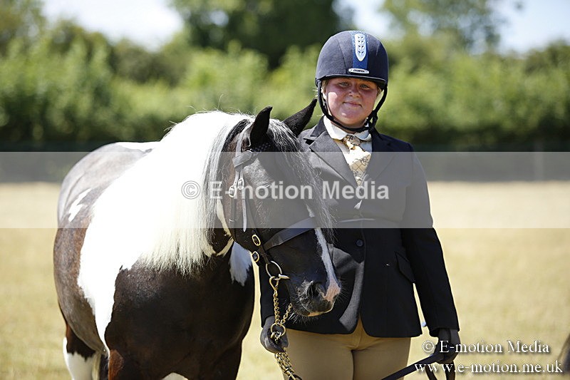 _C7A0081 - BVRC Sow 2018 Ring 2