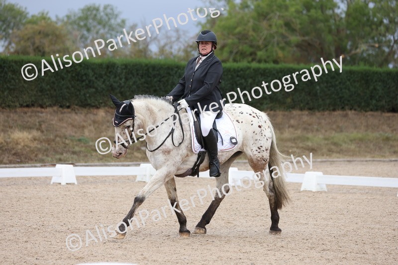 20250820-0111 - Class 7 - My Quest Intro 3