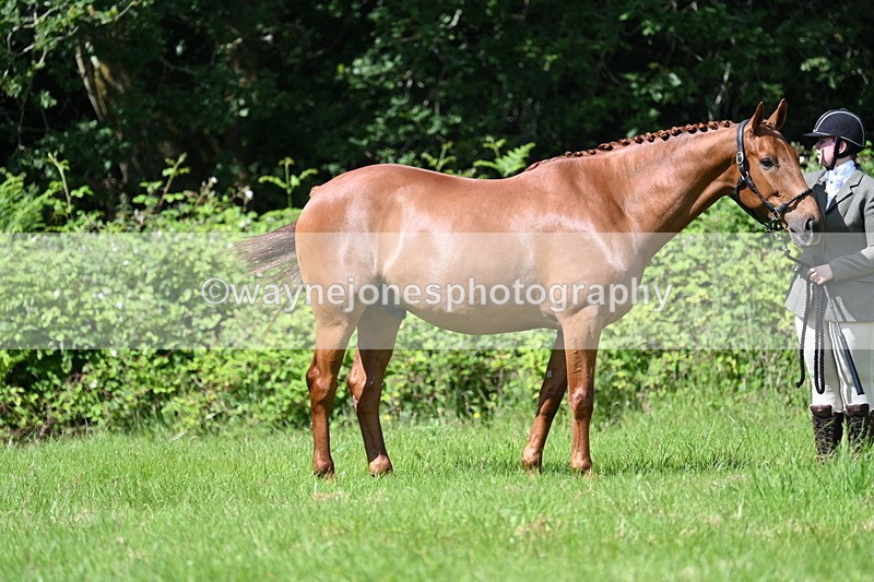 WJ7_1221 - Class 11 Condition & Turnout