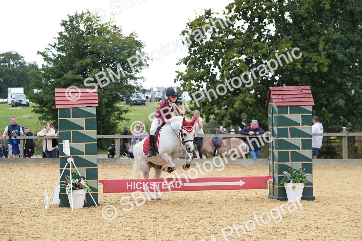 SBM_74608 - J4 - Mini Tour Junior Pony 45cm Championship