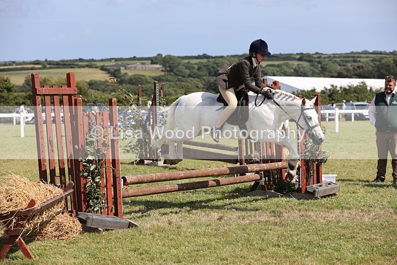 JPP_2243 - Class 19: Working Hunter 60cm