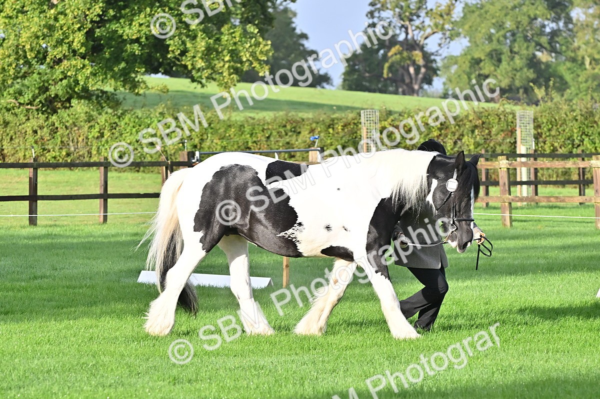SBM_32603 - S15 - Top Turnout In Hand