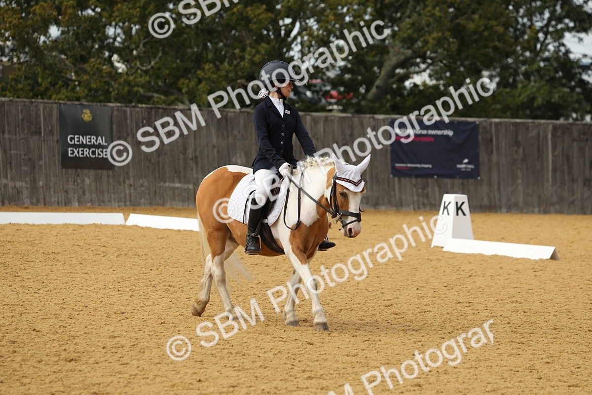 SBM_45977 - D23 - Junior Championship - Prelim 12