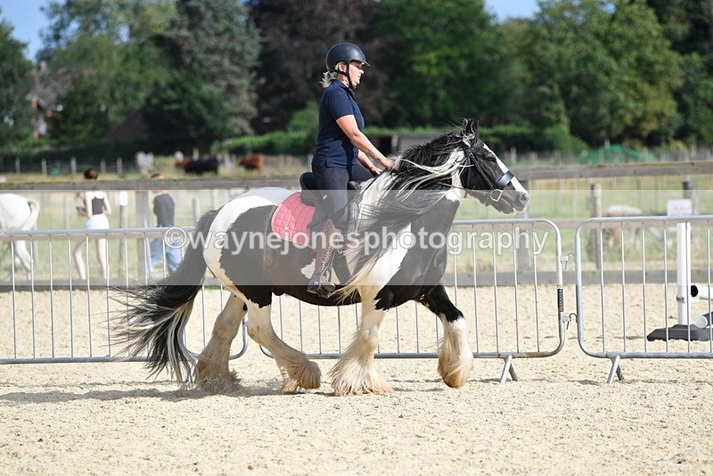 WJ5_5758 - Poles off the floor