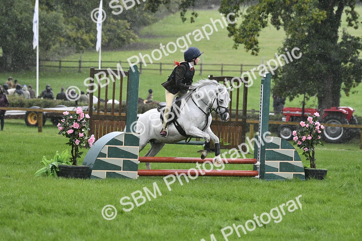 SBM_37120 - S31 - Novice & Newcomer Working Hunter Pony