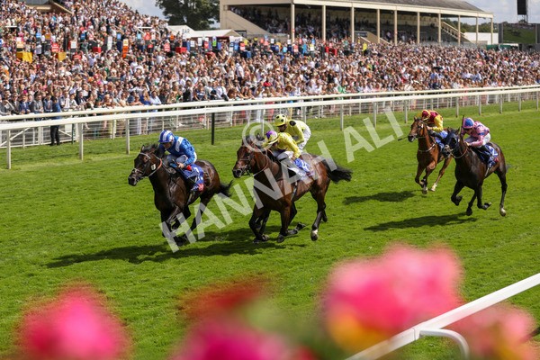290723-Race 3-Alflaila-3851 - Race 3 3.15pm Sky Bet York Stakes (Group 2)