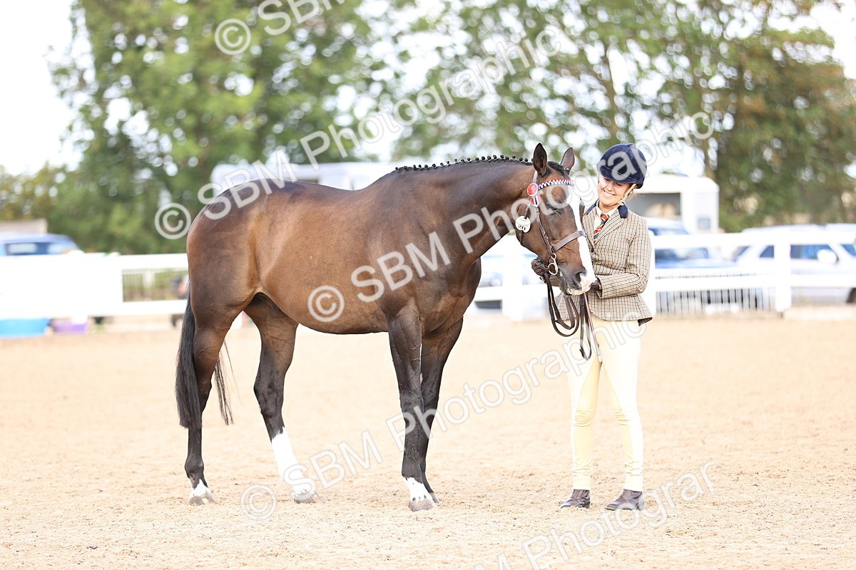 SBM_11549 - Class 407 - IH Hack-Riding Horse