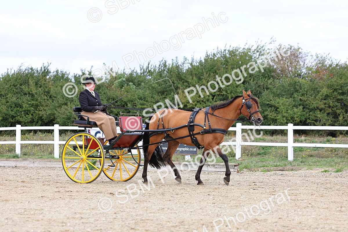 SBM_000749 - Class 6 - Exercise Vehicle 13.2 and over