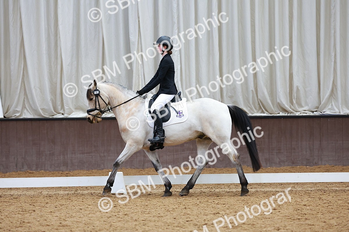 SBM_003407 - Class 11 - Novice 2