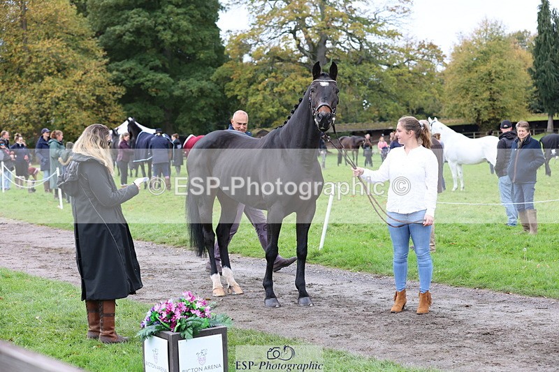 251026A-104716-23271 - F-402-Bethany.Hall