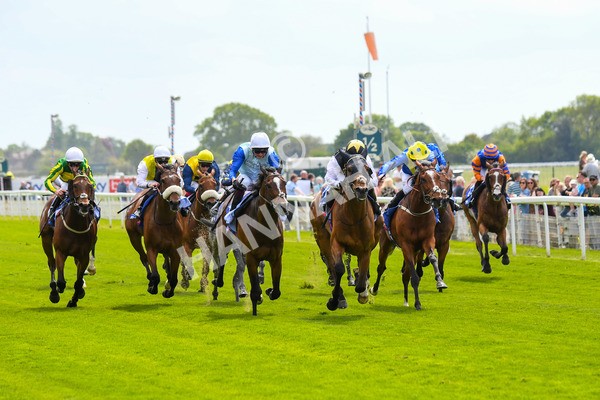 170523-Race 1-Scampi-0182 - Race 1 1.50pm Sky Bet Race To The Ebor Jorvik Handicap