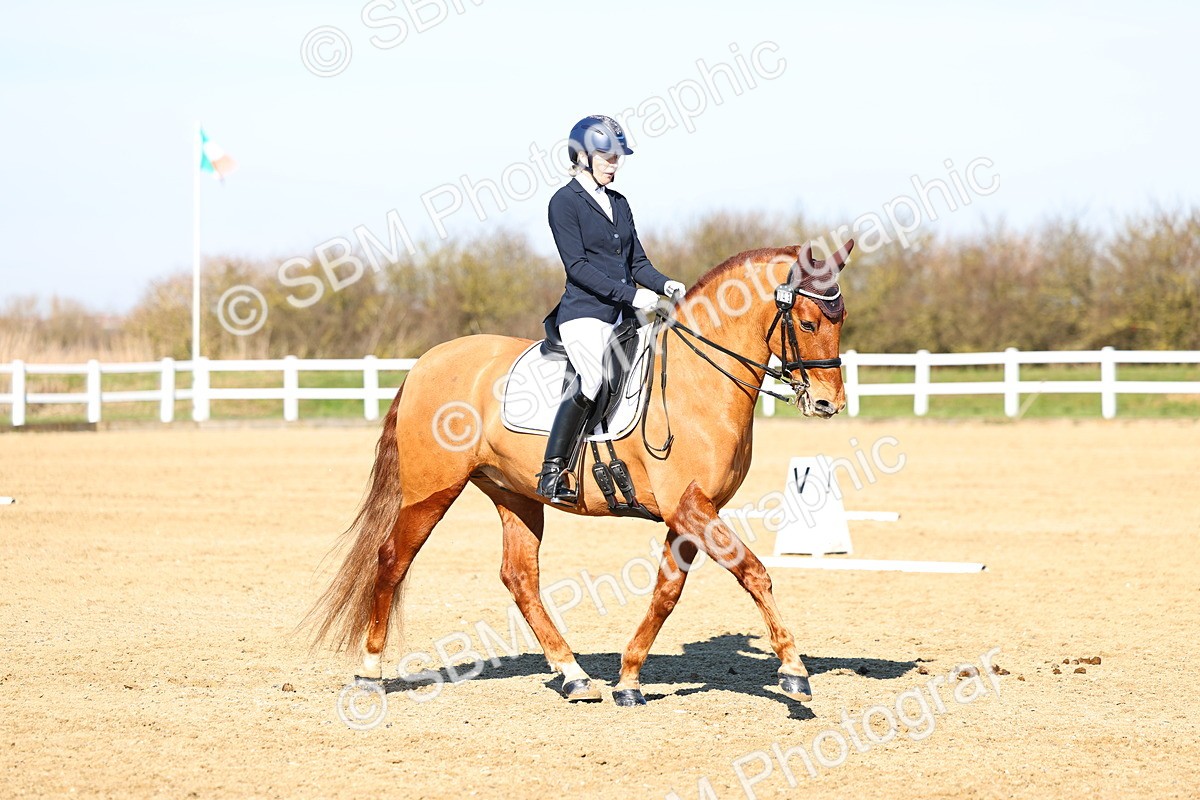 026A8489 - Class 2-6-5-4 - Paso Doble-Sevilla-Golega-Novato