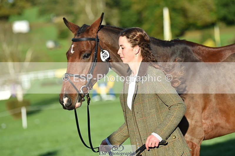 231022-091430-21643 - 605-SPORTSFIELD.U2-Katie.Corbin-TrotUp+SJ