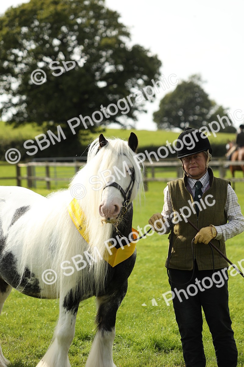 SBM_66336 - In Hand Pony & Youngstock Supreme Championship