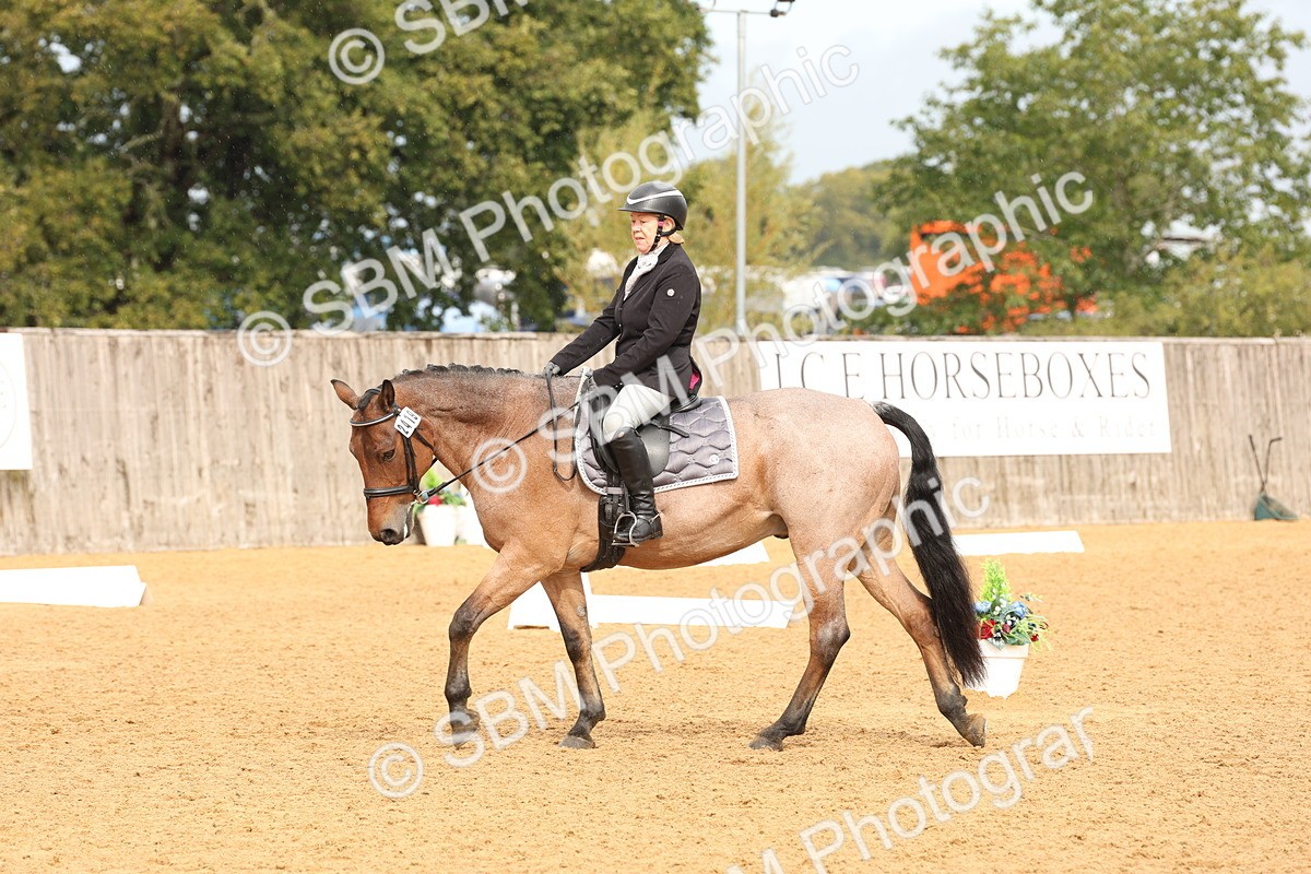 SBM_40594 - D6 - Small Tour Championship Intro 4
