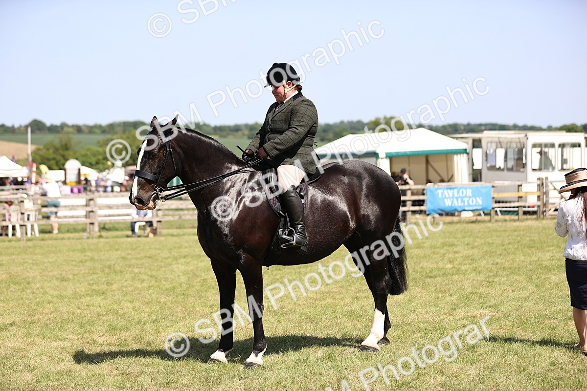 SBM_17905 - Class 81-83 - TSR Ridden Amateur of the Year - Horses