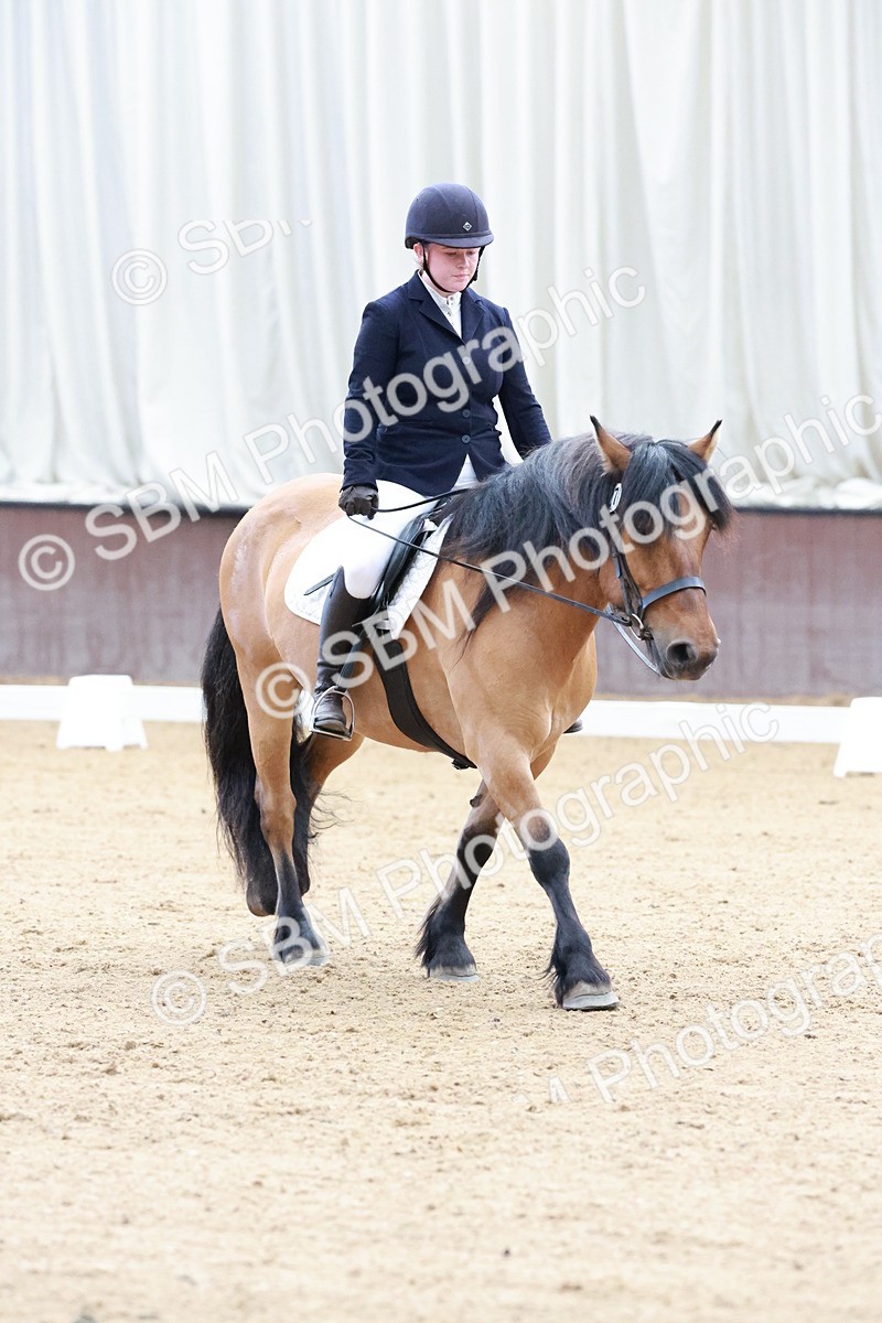 SBM_003203 - Intro 2