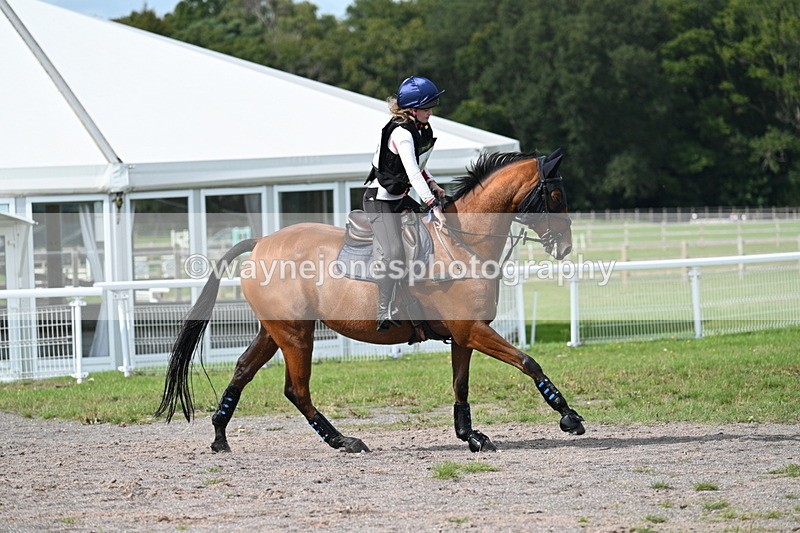 WJ7_2585 - Time 13:55 to 14:05