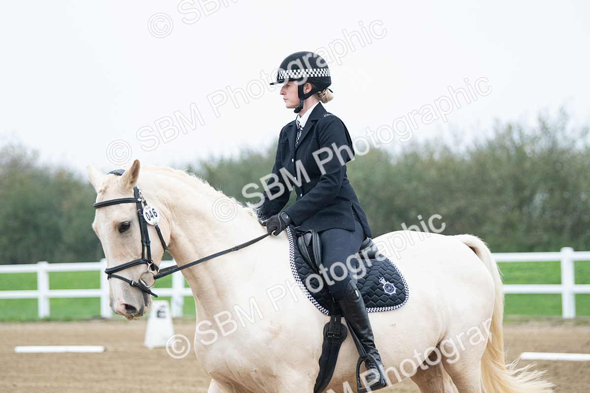 SBM_003326 - Introductory Test 3