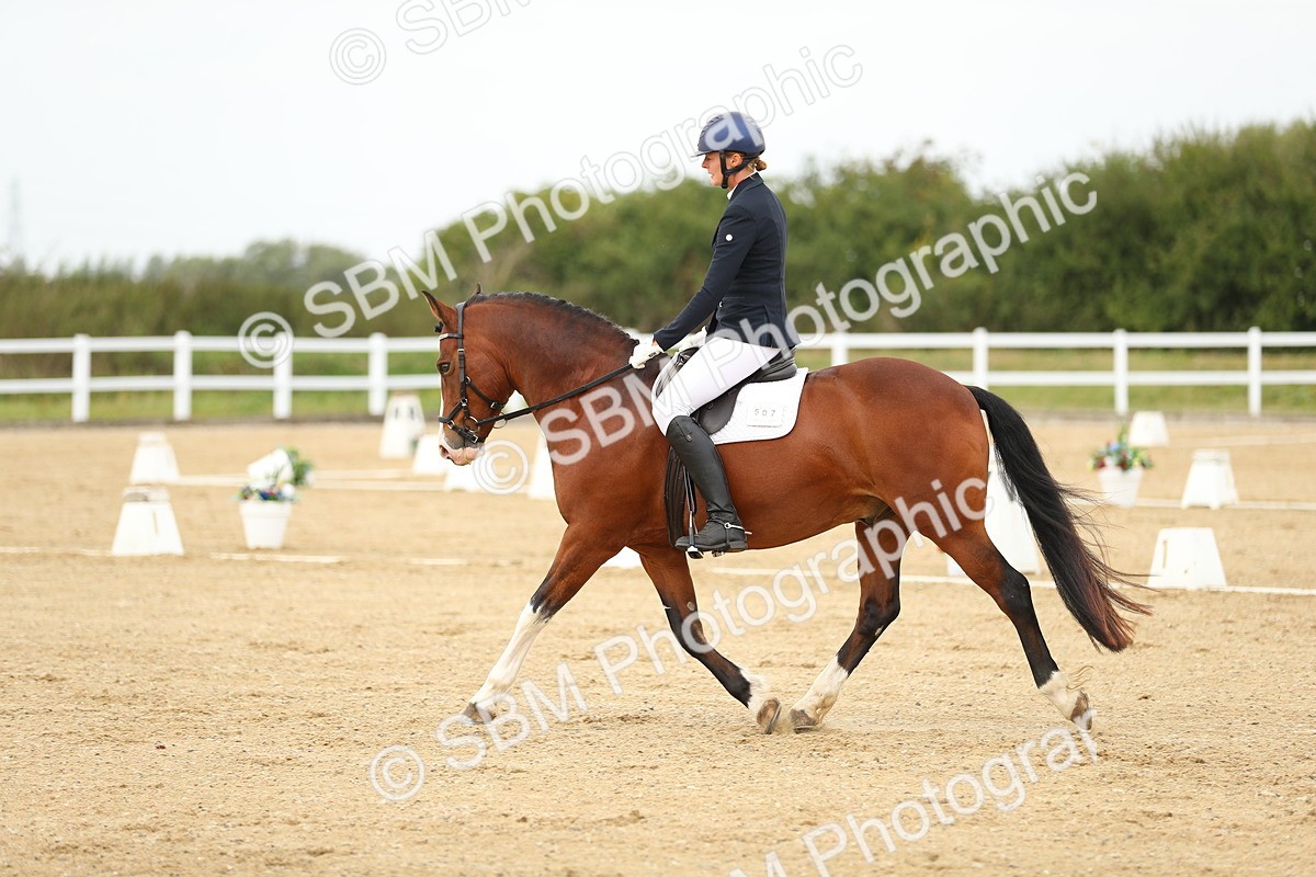 SBM_017645 - Class 13 - Novice 23 - 14.27-15.16