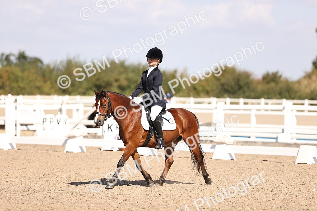 SBM_03513 - CLass 35 Intro 3