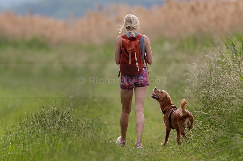 A Dogs' Best Friend - Not Nature