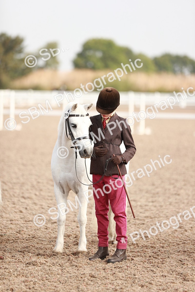 SBM_10610 - Class 204 Young Handler, 11-16 years