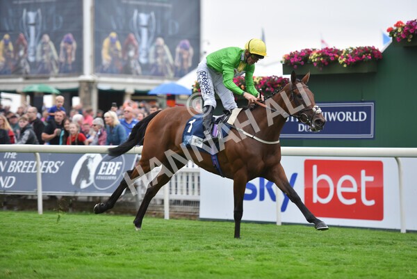 yr22072022r5-27 - Race 5 7.20pm British Stallion Studs EBF Lyric Fillies' Stakes