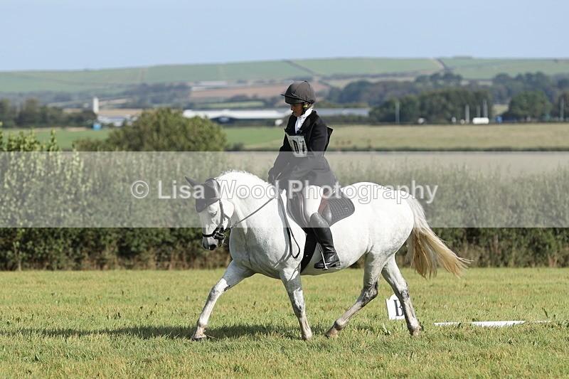 JPP_8073 - Class 2A: Trekenning Open: Dressage
