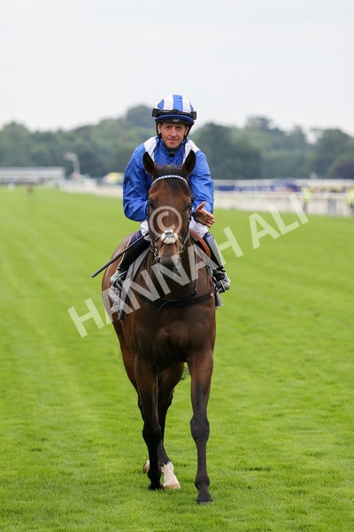 yr20082021r4-19 - Race 4 3.35pm Coolmore Wootton Bassett Nunthorpe Stakes (British Champions Series Race)