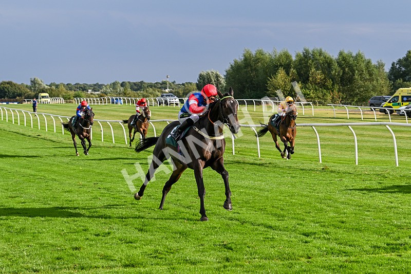 280824-Race 7-Crocodile Power-5079