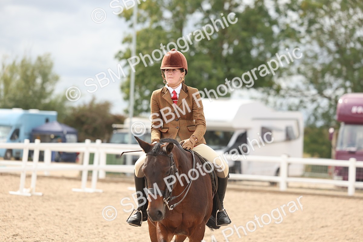 SBM_18058 - Class 314 - Family Horse Pony