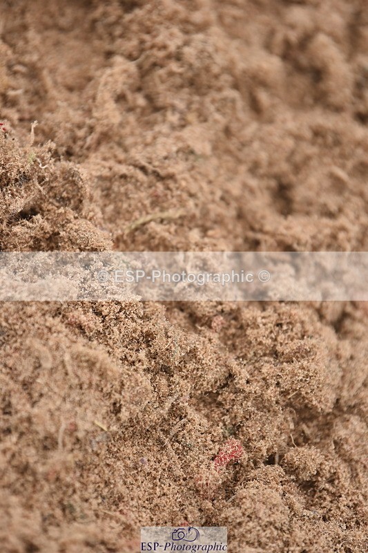 230916A-160108-05467 - Cls 18 Snr 95cm Derby