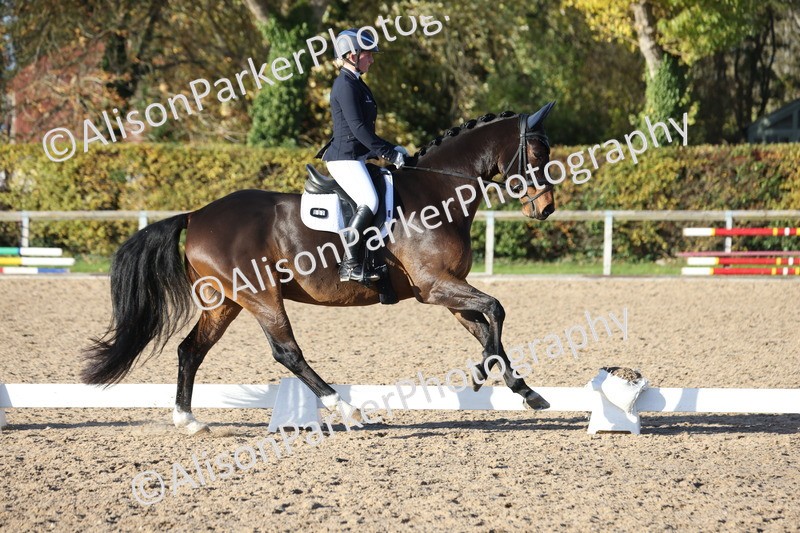 20251102-1224 - Class 7 - Medium 5