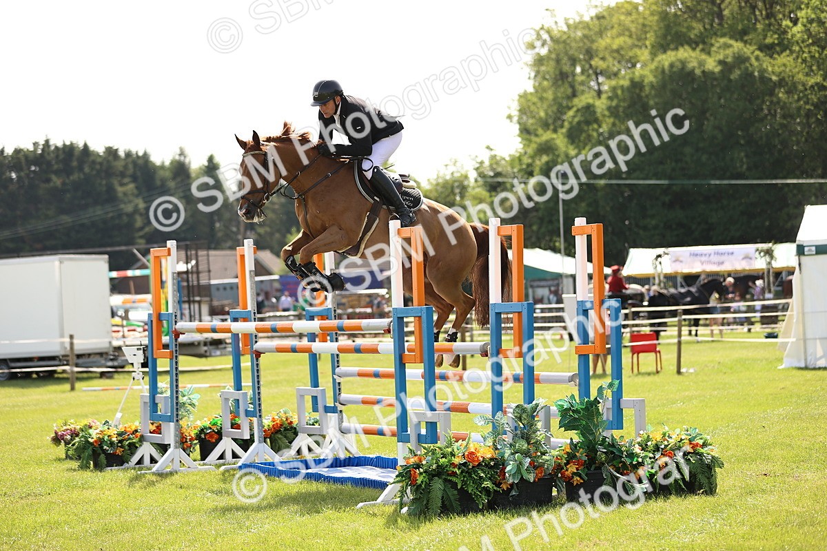 SBM_02985 - Class 201 - British Horse Feedds Speedi Beet HOYS Grade C