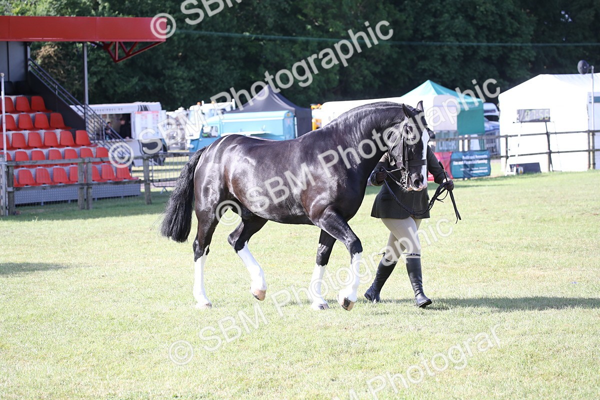 SBM_11116 - Class 92-93 - LIHS BSHA Rising Star Cobs