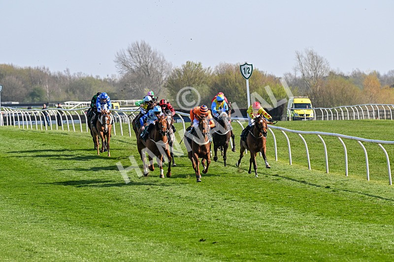 080426-Race 5-Free Pic-0551 - Race 5