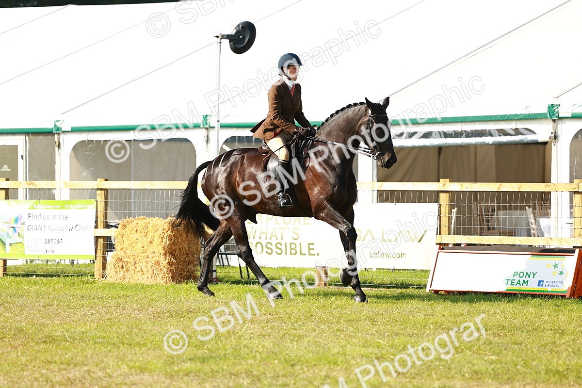 SBM_10889 - Class 66-69 - RIHS Ridden Hunters Inc Small Hunter