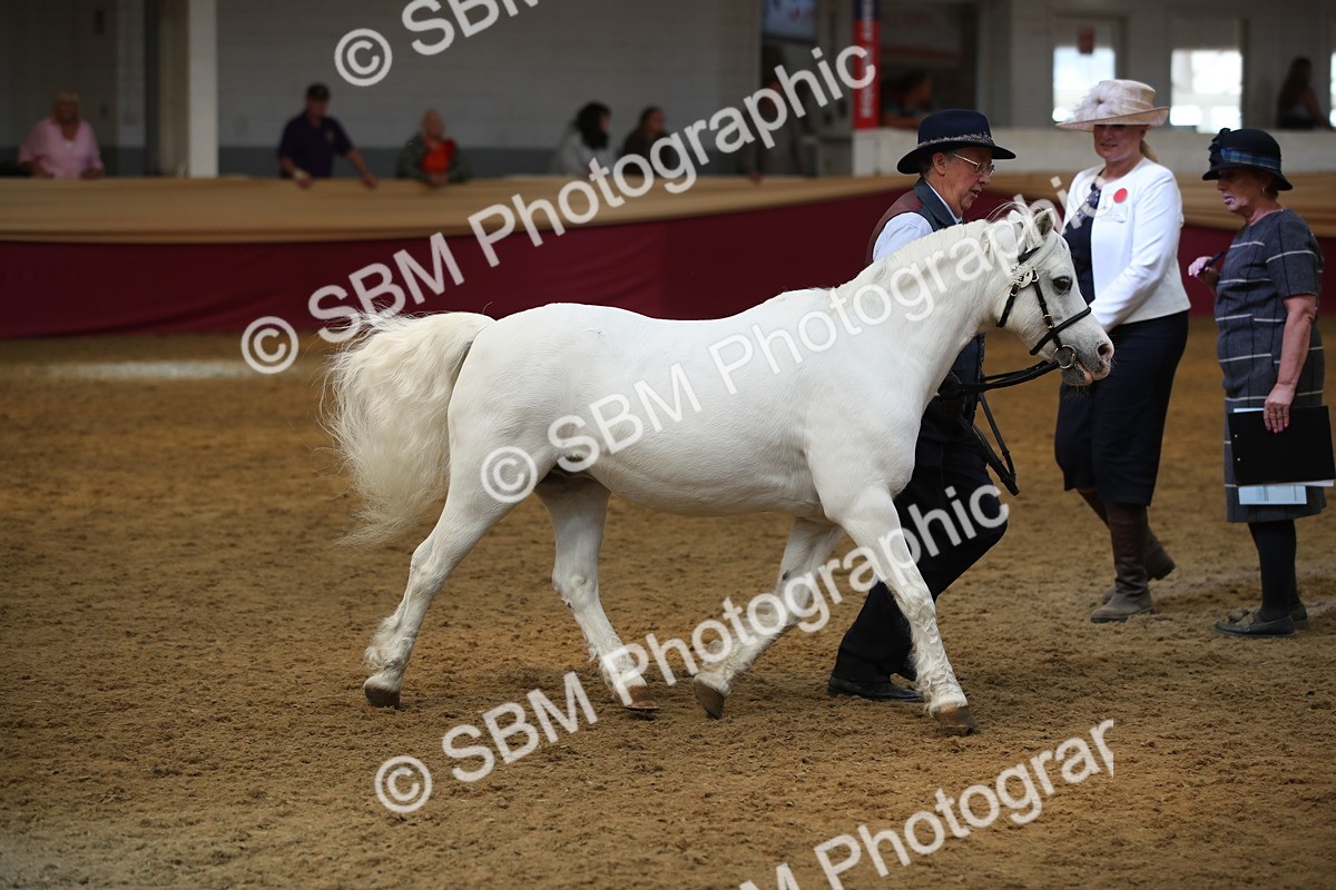 SBM_05378 - Class 8R - Regional IH Veteran