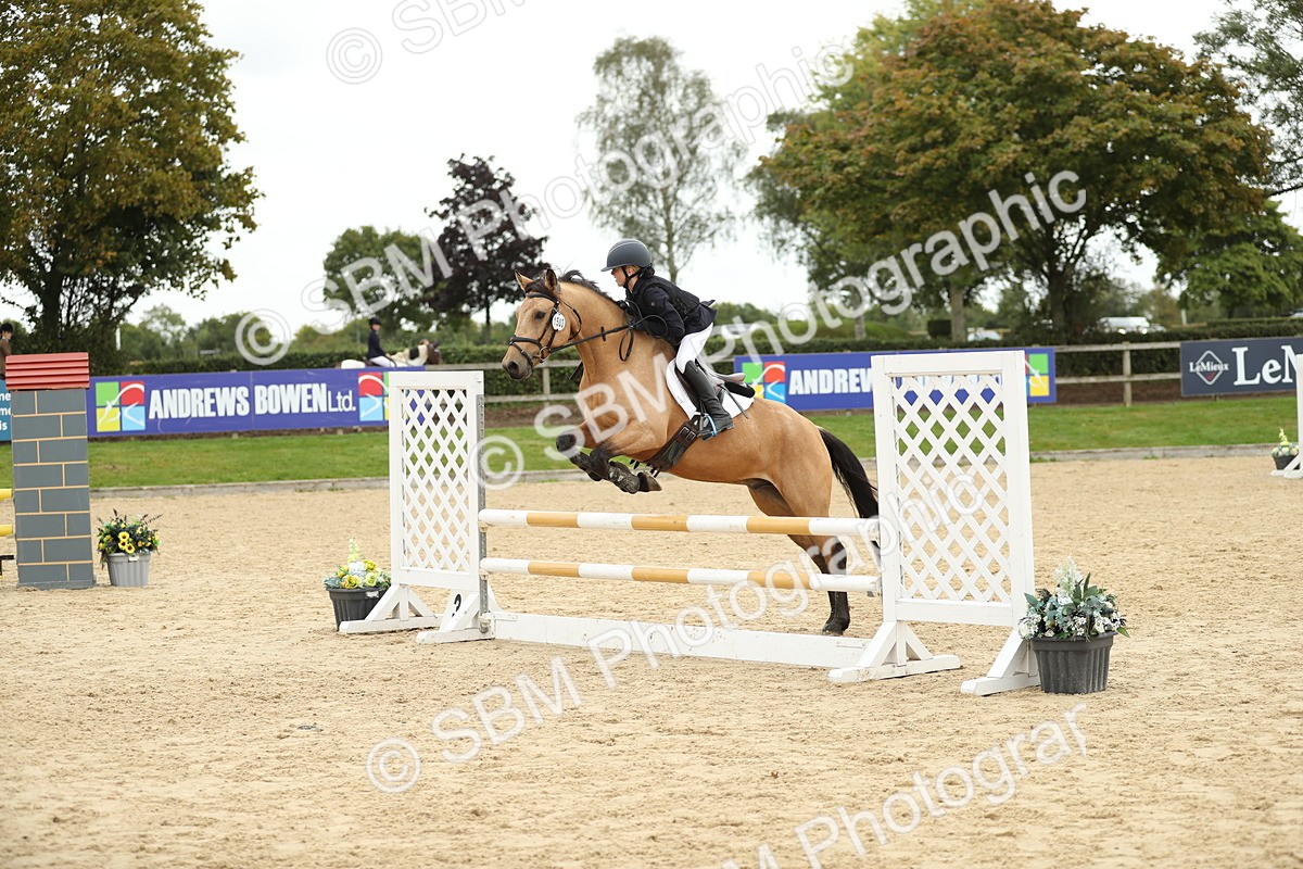 SBM_63122 - Supreme championship 75cm 80cm