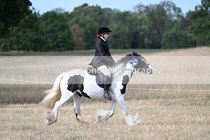 WJ7_7630 - Ridden Championship