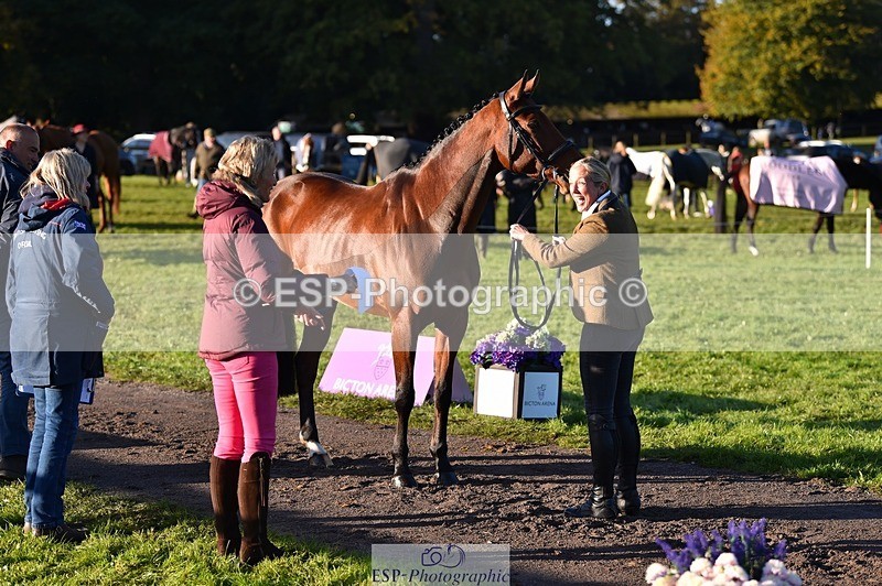 231022-091828-21687 - 650-NAOMIE.VAN.DE.BROUWERSHOEVE-Lara.Salter-TrotUp+SJ