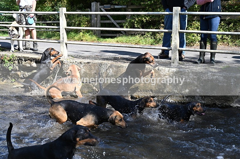 WJ7_6017 - Hounds Water Crossing