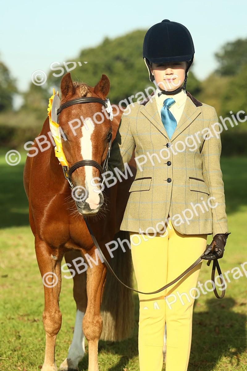 SBM_58496 - S37 - Starters In Hand Showing
