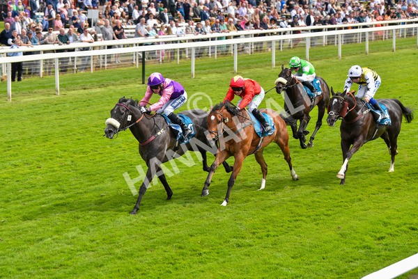 170523-Race 3-Azure Blue-8708 - Race 3 3.00pm 1895 Duke of York Clipper Logistics Stakes