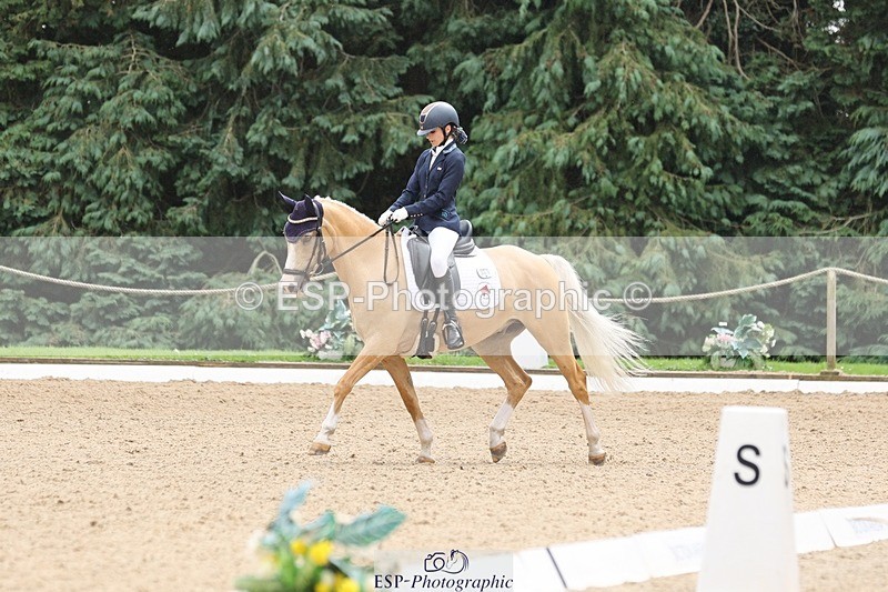 240810-143151-03663 - 301-Sophia.Longworth-Don.Deluxe